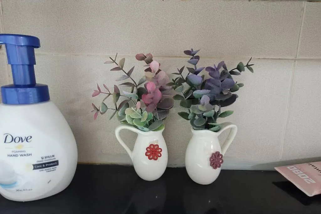 Incheon Sungeuidong Happy Stay For 10 Pax Apartment